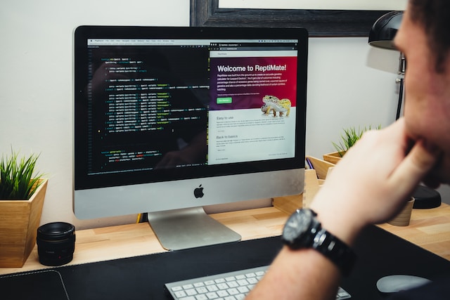 Web Developer at home